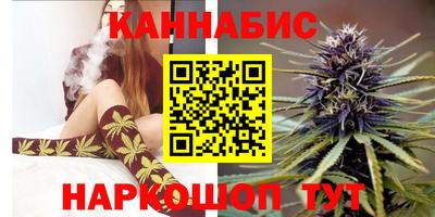 ешки Гагарин