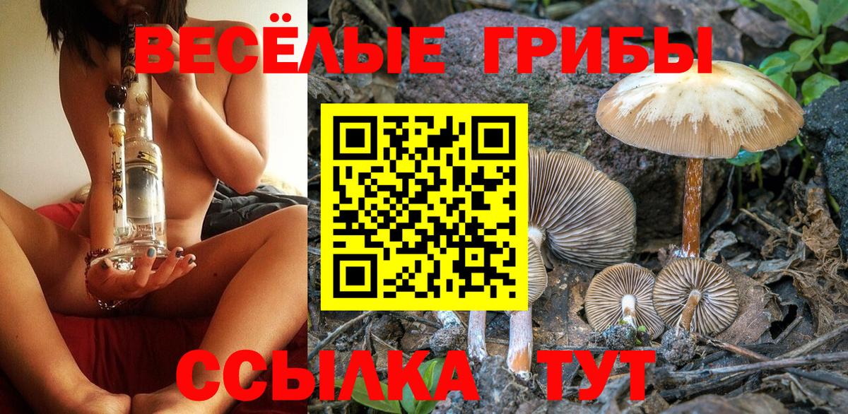 Псилоцибиновые грибы прущие грибы Михайловка