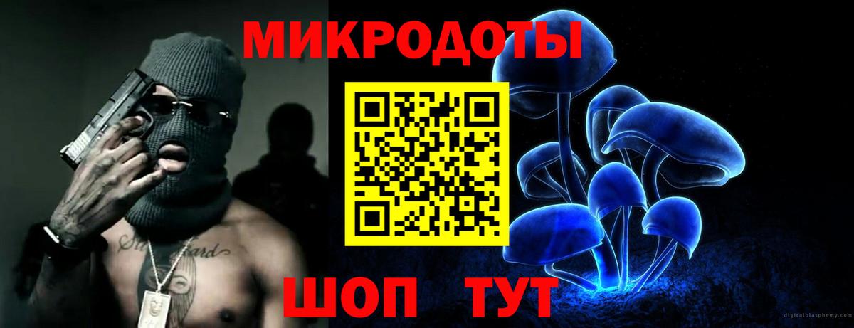 купить наркоту  Псилоцибиновые грибы мухоморы  Михайловка  Вход с VPN  Псилоцибиновые грибы Psilocybine cubensis 